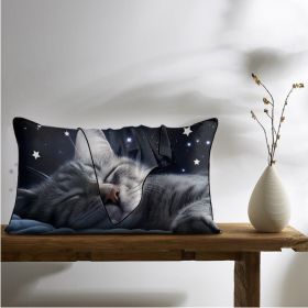 2 Pcs Cats And Starry Sky Art Bedroom Satin Print Soft Skin Friendly Pillowcases Suitable For All Seasons (Option: 51x90cm-Black)
